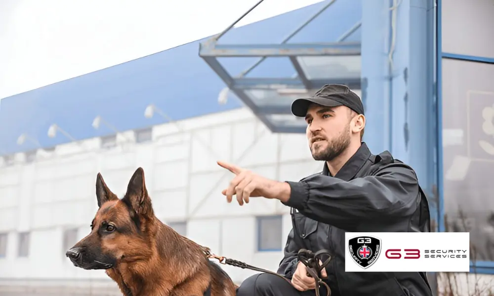 What Are The Benefits Of Security Dogs?